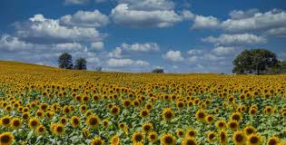 Maybe you would like to learn more about one of these? Kansas Health Insurance Marketplace History And News Of The State S Exchange Healthinsurance Org