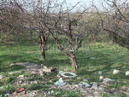 More images for groapa de gunoi oradea » LivadÄƒ TransformatÄƒ In GroapÄƒ De Gunoi