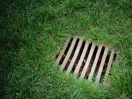 Wenn die mäuse im garten keine großen schäden anrichten, sollten sie am leben gelassen. Regenwasserversickerung Im Garten Die Optionen