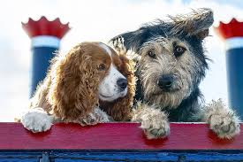 Meet The Real Dogs Of Disney S New Lady And The Tramp In 2020 Lady And The Tramp Dog Lovers Real Dog
