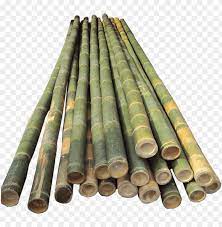 There are some safety features like the quick. Bamboo Half Cut Bamboo Pole Vault Poles Png Image With Transparent Background Toppng