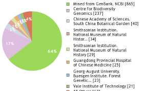 Image result for Croton steenkampianus