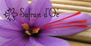 Horticulteurs A Montauban 82000 Plantes Et Produits Du Jardin En Vente Directe Producteur
