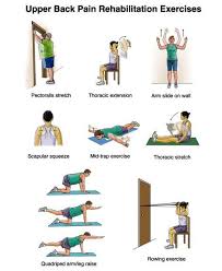 Pin On Physiotherapy And Rehabilitation