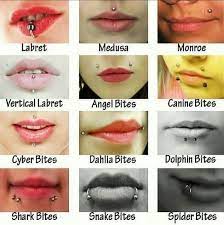 Pin By Kenn Daanimegirl On Random Info Piercings Unique Face Piercings Mouth Piercings