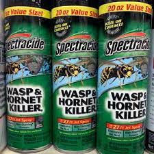 The Best Wasp Hornet Spray From Home Depot 2019 Slide Lok Garage Interiors