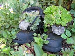 Gartendeko Mit Alten Schuhen Bepflanzt Sukulente Gewurze Bluhende Pflanzen Ungewohnliche Pflanzen Und Alte Schuhe