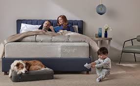 4.5 out of 5 stars. Casper Sleep Dog Bed Plush Memory Foam Small Gray Amazon Ca Pet Supplies