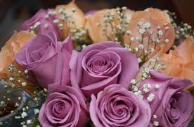 One other type of flower that has symbolic meaning regarding rebirth is the daffodil. What Do Flower Colors Mean In Relationships Pairedlife