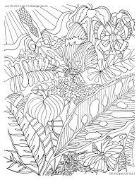 Find & download free graphic resources for handdrawn lines. Butterfly Rainforest Hand Drawn Coloring Pages By Artist Kathy Sturr Forest Coloring Pages Coloring Pages Bird Coloring Pages