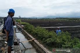 Check spelling or type a new query. Kulon Progo Mengusulkan Bantuan Traktor Roda Empat Bagi Petani Srikayangan Antara News Yogyakarta Berita Terkini Yogyakarta