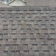Profile for AMP Restoration & Roofing