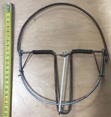 Trappola Per Topi A Molla Grande Non Usare Per Trappola Per Uccelli Cm 20 Https Www Chiaradecaria It It Trappo Trappole Per Topi Mangime Per Uccelli Uccelli