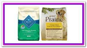 Best Premium Dog Food Brands Top 20 Best Dry Dog Food Brands For 2018 Nature S Variety Prairie Beef Ba Dog Food Brands Dog Food Recipes Best Dry Dog Food