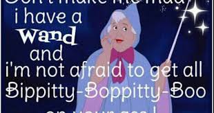 Bippity Boppity Boo Meme Bippity Boppity Boo Humor Laughter Words