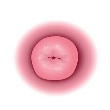 Image result for cervix position