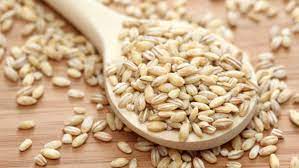 Can Dogs Eat Barley What To Know About Dogs And Barley