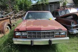 Image result for Fawn 1982 Fairmont