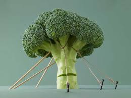 The soil ph should be between 6.0 and 7.0 for best growth and to discourage clubroot disease. Top 14 Health Benefits Of Broccoli