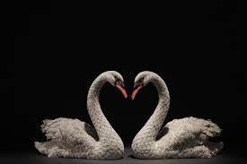 Birds Of A Feather Cast 2020 22 854 Pieces Of Swarovski Stellux Crystals On Each Swan 12 High X 9 5 Cast Polished Plated In 2020 Beautiful Birds Glitter Art Nature Animals