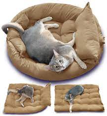 Amazon.co.jp: Cyanan Cat Bed, Can Be Used All Seasons, Comes In A Variety  Of Colors That Match Your Room. Cat Bed, Pet Bed, Cushion, For Cats, For  Dogs, Dog Beds, For 2