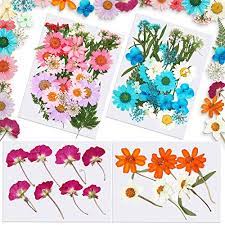 If you don't want the hassle of repotting a houseplant, you can let the plant soil to kill mold on plant soil, put your houseplant outside in a sunny location. Preserving Flowers In Resin How To Preserve Flowers In Resin