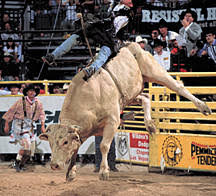 Add it to your imdbpage. Tuff Hedeman And Bodacious