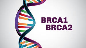 Now, there's another gene linked to breast however, no one knew exactly how much palb2 mutations increased risk—until now. Everything You Need To Know About The Brca1 And Brca2 Cancer Risk Genes Everyday Health