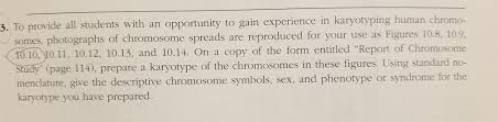 Human karyotyping prior knowledge question (do this student exploration: Solved Here Is The Karyotype For The Question Ignore The Chegg Com