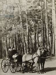 Carriage, 1931-36 (gelatin silver print ...