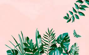 Choose from a curated selection of laptop wallpapers for your mobile and desktop screens. Aesthetic Laptop Wallpaper 474296 Laptop Wallpaper Desktop Wallpapers Computer Wallpaper Desktop Wallpapers Laptop Wallpaper