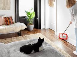 So, how to clean your house before you move in? 10 Best Cleaning Tools Essential Home Cleaning Supplies Apartment Therapy