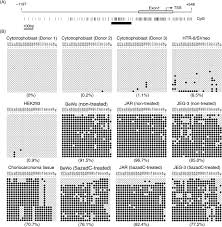 Vizioneaza un episod subtitrat online al serialului no: Production Of An Anti Angiogenic Factor Sflt1 Is Suppressed Via Promoter Hypermethylation Of Flt1 Gene In Choriocarcinoma Cells Bmc Cancer Full Text