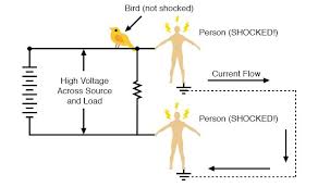 But we took it like any other. Shock Current Path Electrical Safety Electronics Textbook
