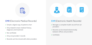 ehr development essential information recommendations