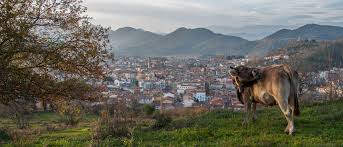 Encuentra tu casa rural por olot. Tu Casa Rural En Olot