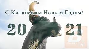Китайский новый год 2021 будет символизировать животное бык и стихия металл, а основным цветом года станет белый. Kitajskij Novyj God 2021 Kogda Budet Novyj God Po Kitajskomu Kalendaryu V 2021 Godu Vse Dni