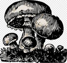 Milhares de novas imagens por dia completamente grátis para usar vídeos e imagens de alta qualidade do pexels. Fungo De Cogumelo Cogumelo Cogumelo Nuvem Preto E Branco Png Pngegg