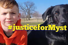 Fundraiser by Don Hesseltine : Justice for Myst: Help a Family Heal