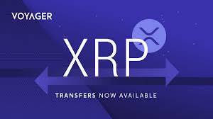 Change the date range, read news, and learn more about ripple as well as other cryptocurrencies. Voyager Ø¯Ø± ØªÙˆÛŒÛŒØªØ± Xrp Deposits And Withdrawals Are Now Live On The Investvoyager App Reminder Xrp Transfers Trading On Voyager Will Be Temporarily Disabled Today December 11th At 5 Pm