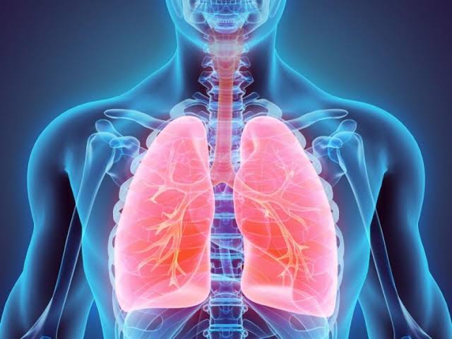 Resultado de imagen de enfermedades respiratorias"