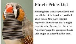 Standard Price List Birds For Sale At Efinch Birds For Sale Price List All About Time