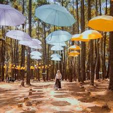 Bahkan khusus untuk prewedding ini tidak jarang harus mengeluarkan biaya yang tidak sedikit, baik dari segi tempat, busana, fotografer. 7 Wisata Hutan Pinus Yang Cocok Untuk Prewedding Keepo Me Line Today