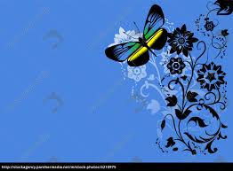 Blue Butterfly Background Stock Photo 4210975 Panthermedia Stock Agency Es war immer noch essen, nachdem die schmetterlinge zu bett gegangen war. stock photo 4210975 blue butterfly background