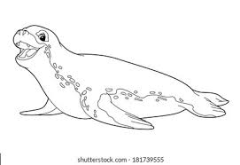 Calm species from a farm, like horse, donkey, dog, goat, cow, and pigs. Arctic Animal Coloring Page Illustration Children Stock Illustration 181739555