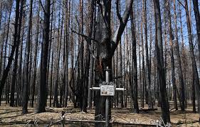 Radiation levels near the site of the chernobyl nuclear reactor disaster have spiked as firefighters battle to contain two forest fires in the area. Ukraine Scientists See Signs Of Hope After Huge Chernobyl Fires