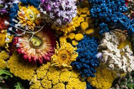 Check spelling or type a new query. Colorful Dried Flowers Ideal For Backgrounds Stock Photo Image Of Beautiful Wallpaper 172656828
