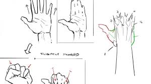 (both this one and the one above are by christopher hart, who is awesome and. Comic Book Video Tutorials Anatomy Quick Tips Hands