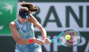 Moreover her academic background, she currently studies at the university of southern denmark and chose psychology as her field of study. Nick Kyrgios Girlfriend Is Kyrgios Girlfriend Ajla Tomljanovic On Court As He Loses It Tennis Sport Express Co Uk
