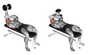Lower dumbbells by bending elbow until they are to sides of head. One Arm Lying Triceps Extension Nasil Yapilir Fitnessandbeast